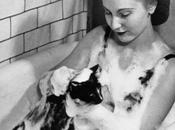 Bathing Your Cat: Tips Make Purrfectly Simple