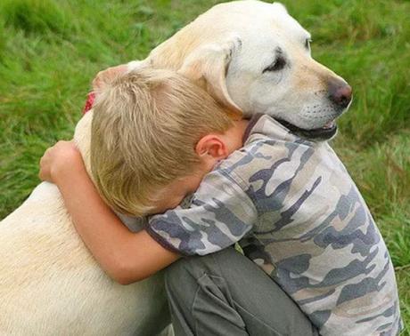 Dog cwtching, cuddling, hugging human