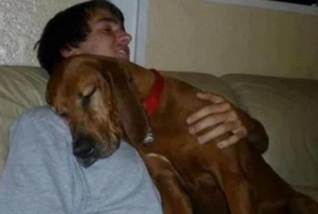 Dog cwtching, cuddling, hugging human