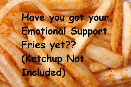 WHAT DO YOU MEME? Emotional Support Fries