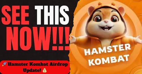 Hamster Kombat Airdrop Update Hamster Kombat Airdrop Update