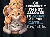 Apparently Allowed Adopt Dogs/Cats Rude,