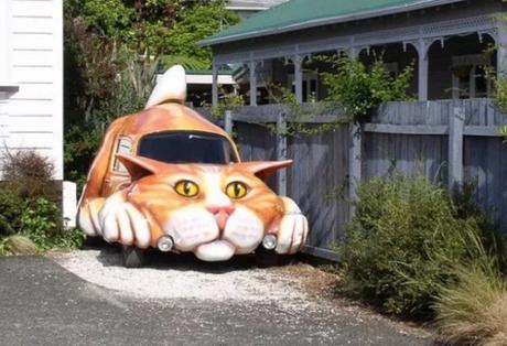 Cat car waiting to attack