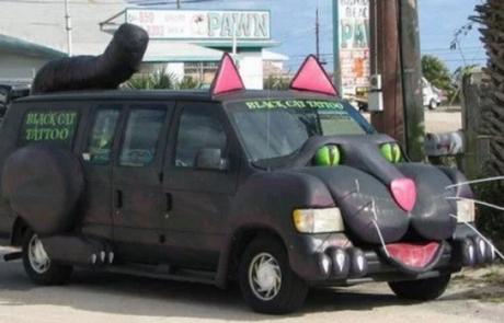 Black van cat