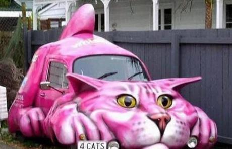 The Pink cat car