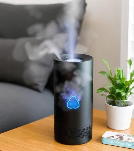 Is an air purifier a must-have for fresh, clean air?