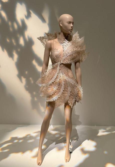 Iris Van Herpen Magnetosphere dress from the earthrise collection