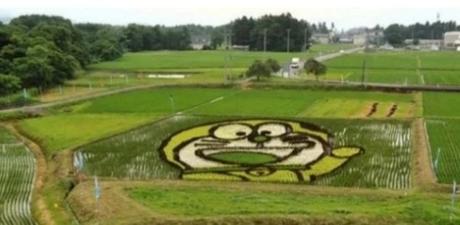 Tanbo Art Pictures in a Rice Paddy Field