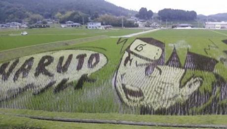 Tanbo Art Pictures in a Rice Paddy Field