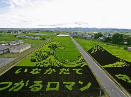 Tanbo Art Pictures in a Rice Paddy Field