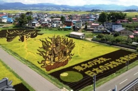 Tanbo Art Pictures in a Rice Paddy Field