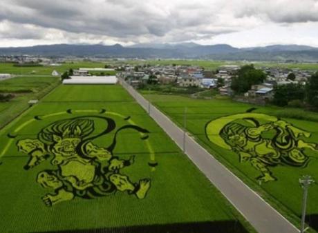 Tanbo Art Pictures in a Rice Paddy Field