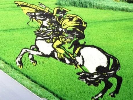 Tanbo Art Pictures in a Rice Paddy Field