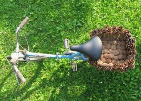 Pine Cones Turned into basket for bicycle