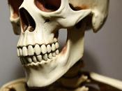 Life-size Human Skeleton Bones Help Create Spooky, Realistic Atmosphere Halloween Decorations?