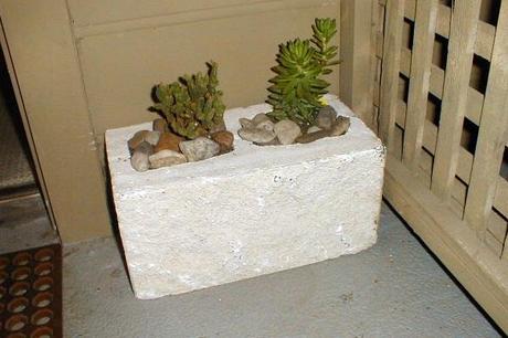 Make Your Own Cinder Block Planters