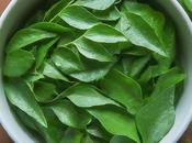 Lesser-Known Curry Leaves Benefits Improve Your Health