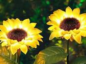 Sunflower Solar Garden Lights Aesthetic Charm?