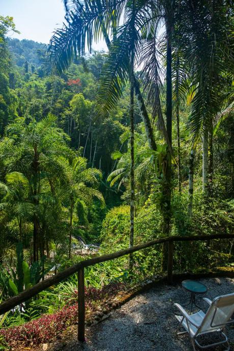 A verdant tropical forest with tall palm trees, ferns, and bright sunlight creating a patchwork of light and shadow.