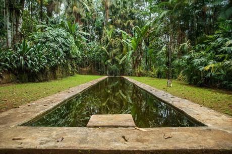 A long, narrow reflecting pool in a lush tropical garden, bordered by green plants and trees.