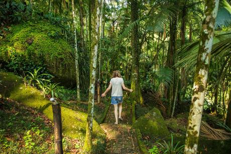 A woman walking along a narrow forest path, surrounded by dense greenery and tall trees, with sunlight filtering through the leaves.