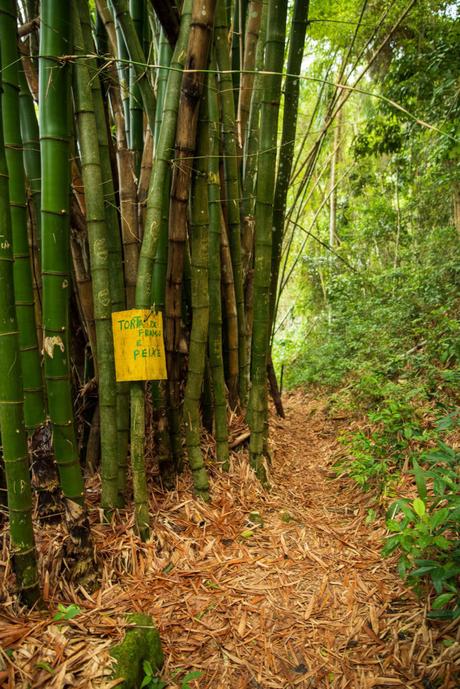 My Favourite Photos of Brazil to Inspire Your Next Adventure