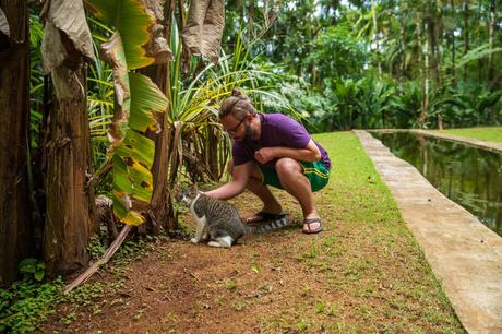 Alex Tiffany squatting down to pet a cat near a row of banana trees in a tropical garden.