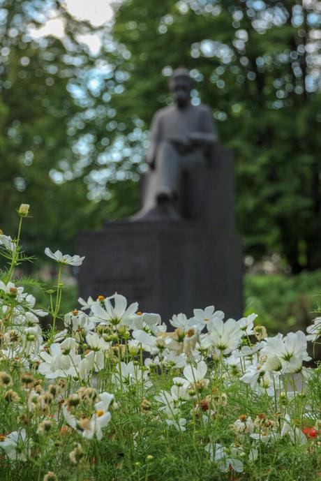 A blurred background of a statue in a park, with the focus on blooming white flowers in the foreground. The green foliage and dappled sunlight create a serene atmosphere.