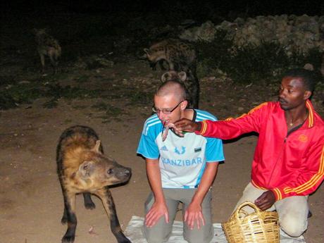 A nighttime scene featuring a man in a red jacket feeding a hyena while another man crouches beside him, smiling. Several hyenas are visible in the background, with one close to the two men.