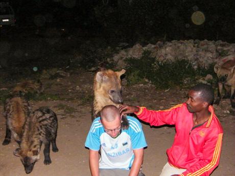 A nighttime scene featuring a man in a red jacket feeding a hyena that rests its paws on the shoulder of the crouching man while more hyenas wander in the background.