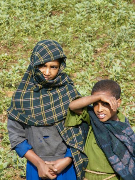 Two young children standing in a field, one wearing a green and blue plaid scarf over their head and the other in a green shirt, shading their eyes from the sun with their hand.