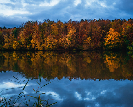 Nature, Listening to Your Intuition, Lisa Orchard