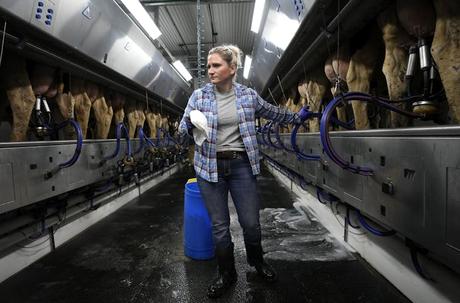 America’s dairy farms are disappearing, down 95% since the 1970s − milk price rules are one reason why