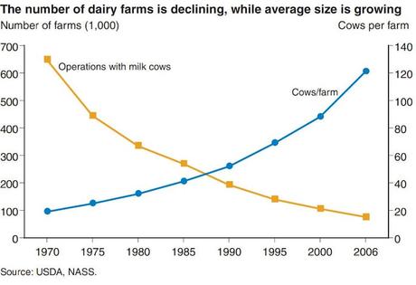 America’s dairy farms are disappearing, down 95% since the 1970s − milk price rules are one reason why