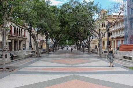 A long, tree-lined pedestrian avenue in a historic part of Havana, Cuba, with people strolling under the shade of the trees and historic buildings on either side.