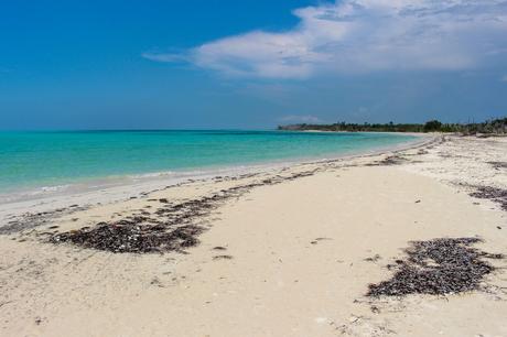 A pristine beach with white sand and clear blue water, with some seaweed scattered on the shore and a cloudy sky overhead.