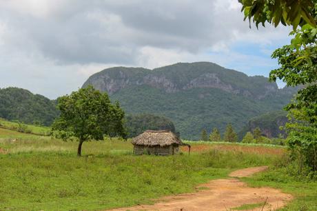 A solitary thatched-roof hut in a grassy field with a dirt path leading to it, surrounded by green hills and a cloudy sky in the background.