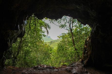 A view from inside a cave, looking out at a lush green landscape with trees and distant mountains under a cloudy sky.