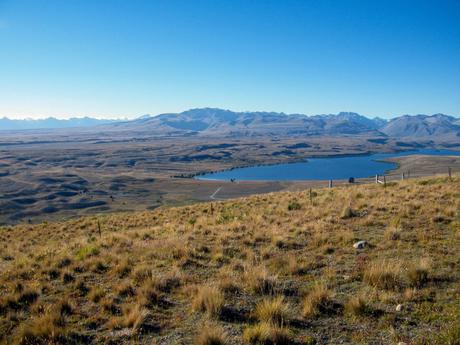 A vast landscape view of a lake surrounded by golden grasslands and distant mountain ranges under a clear blue sky.