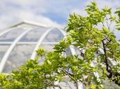 Year-Round Enjoyment: Conservatories That Suit Newcastle’s Climate