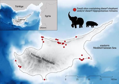 Small populations of Stone Age people drove dwarf hippos and elephants to extinction on Cyprus