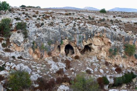 Small populations of Stone Age people drove dwarf hippos and elephants to extinction on Cyprus