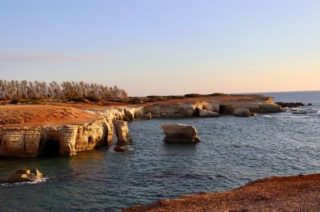 Small populations of Stone Age people drove dwarf hippos and elephants to extinction on Cyprus