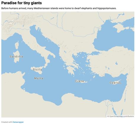 Small populations of Stone Age people drove dwarf hippos and elephants to extinction on Cyprus