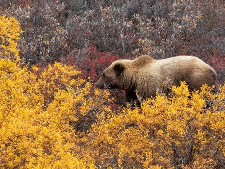 Fall Hiking: 7 Essential Tips to Stay Warm and Safe On Your Fall Hike