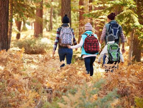 Fall Hiking: 7 Essential Tips to Stay Warm and Safe On Your Fall Hike