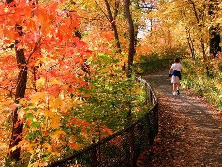 Fall Hiking: 7 Essential Tips to Stay Warm and Safe On Your Fall Hike