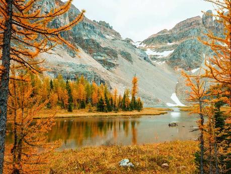 Fall Hiking: 7 Essential Tips to Stay Warm and Safe On Your Fall Hike