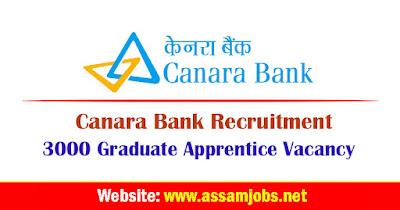 Canara Bank Recruitment 2024 | 3000 Graduate Apprentice Vacancy