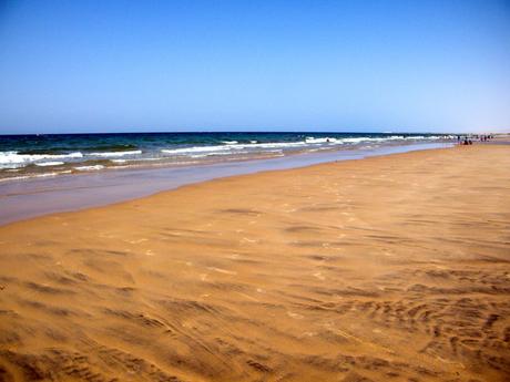 Wide sandy beach with gentle waves lapping at the shore, under a clear blue sky in Somaliland.